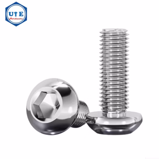 Tc Bolt Black Bolt Round Head Bolt Corrosion Resisting Bolt Hex Bolt Stud Bolt U Bolt Bolt Eye Bolt Carriage Bolt Hex Head Bolt Anchor Bolt Screw Bolt