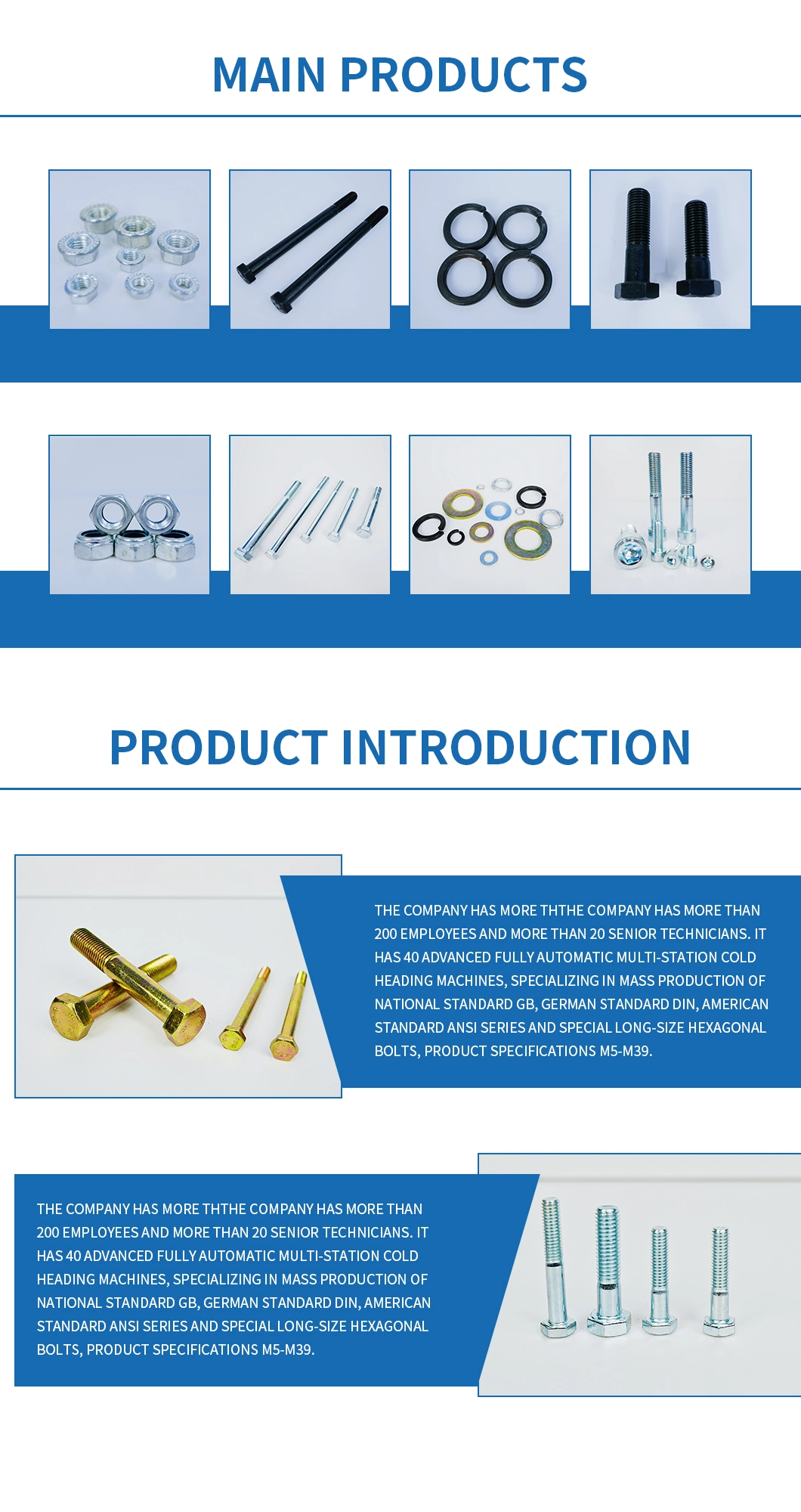 Hex Bolt /Flange Bolt/ Carriage Bolt/Anchor/Bolt and Nut