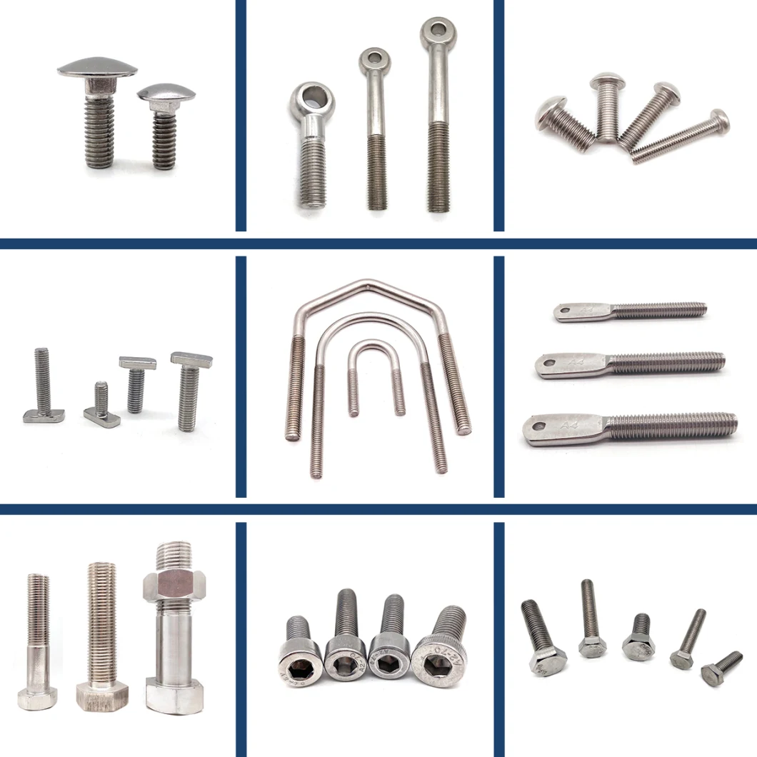 China Wholesale Made in China Stainless Steel Anchor Bolt Carriage Bolts U Bolt Stud Bolts Flange Bolt Eye Bolt Wheel Bolt T Bolt Hex Bolt and Nut