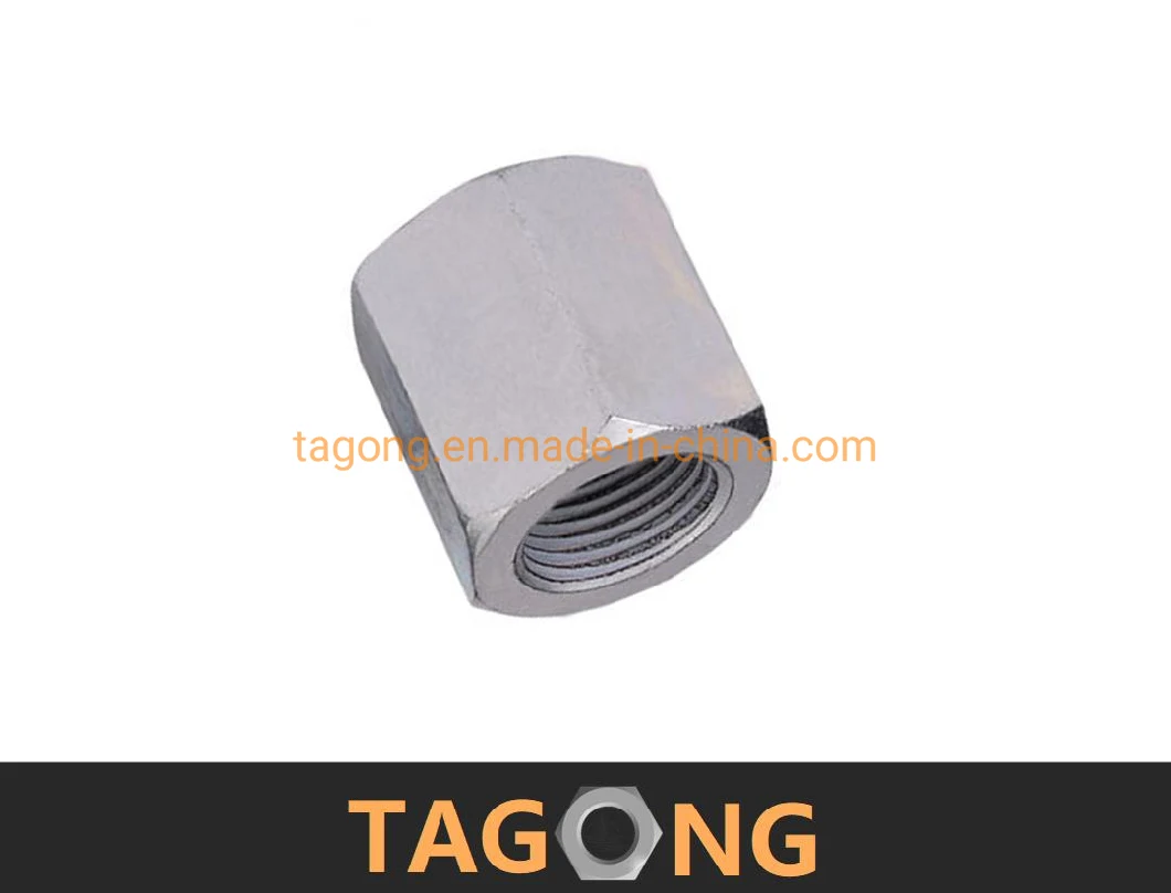 ISO4033 Long Nuts for Ubolts DIN6330 High Nuts