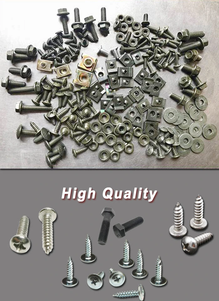 Round Head Cup Head Bolt Square Neck or Oval Neck Bolts