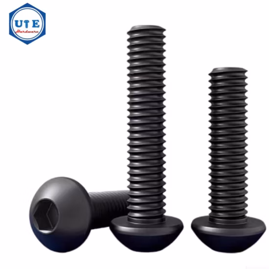 Tc Bolt Black Bolt Round Head Bolt Corrosion Resisting Bolt Hex Bolt Stud Bolt U Bolt Bolt Eye Bolt Carriage Bolt Hex Head Bolt Anchor Bolt Screw Bolt